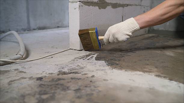 SJ Waterproofing Pros Emergency Waterproofing coverage map for Saranac, MI and surrounding area